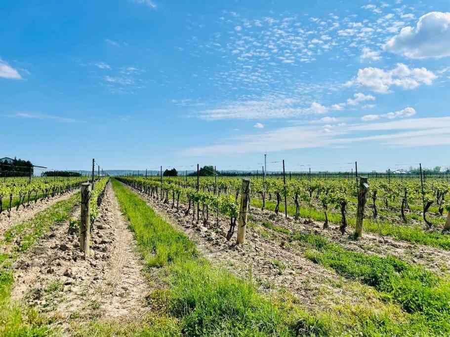 Waterfront Niagara-On-The-Lake Farmhouse On A Vineyard Villa Esterno foto